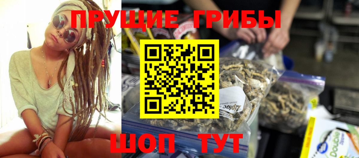 Галлюциногенные грибы Psilocybine cubensis  магазин  наркотиков  Магадан  Вход с VPN 